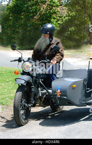 Reife Biker mit einem langen weißen Bart, fahren ein IMZ Ural Motorrad und Beiwagen dekoriert mit Smurf, Victoria, VIC, Australien Stockfoto