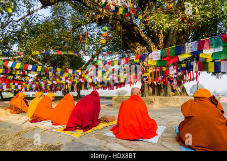 Einige Sadhus, heilige Männer, sitzen rund um den Bodhi Baum neben dem Mayadevi Tempel, der Geburtsort von Siddhartha Gautama Buddha, der Gegenwart Stockfoto