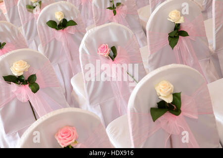 Stühle, dekoriert mit weißen Abdeckungen und rosa und weißen Rosen, bereit für eine Hochzeit Stockfoto