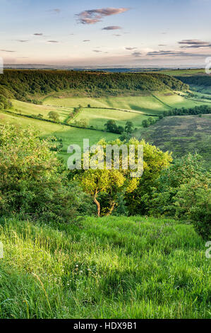 Abendlicht am Loch Horcum Stockfoto