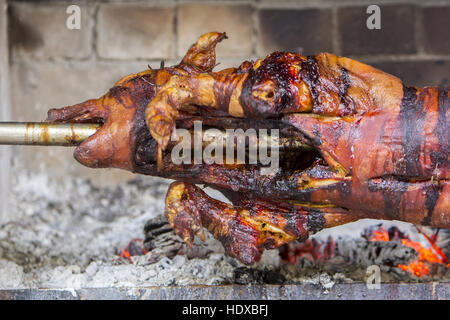 Braten Spanferkel auf die Brosche Stockfoto