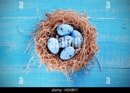 eingerichtet von Eiern zu Ostern in das nest Stockfoto