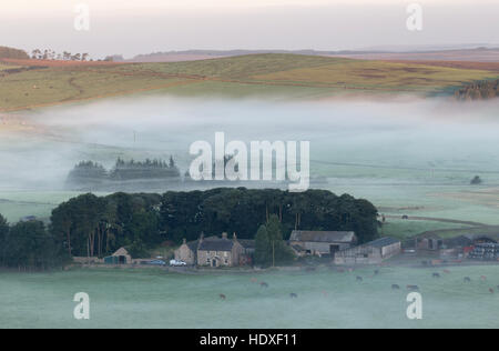 Tiefliegende Nebel im Morgengrauen von Cawfield Farm, Hadrianswall, Northumberland - gesehen vom Cawfield Felsen Stockfoto