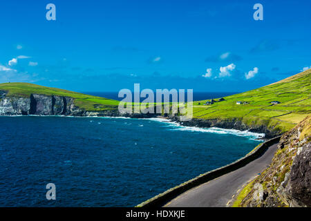 Single Track Küstenstraße am Slea Head in Irland Stockfoto