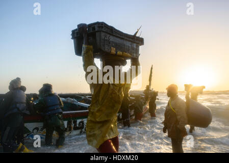 Fischer, Hausierer, Boote in Nouakchott des berühmten Fischmarkt Stockfoto