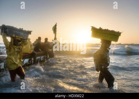 Fischer, Hausierer, Boote in Nouakchott des berühmten Fischmarkt Stockfoto