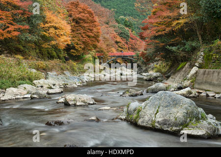 Herbstfarben entlang des Flusses Hozo im Kiyotaki, Kyoto Präfektur, Japan Stockfoto