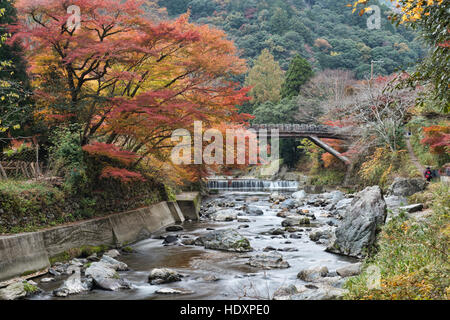 Herbstfarben entlang des Flusses Hozo im Kiyotaki, Kyoto Präfektur, Japan Stockfoto