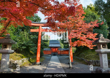 Herbstlaub am Tenryu-Ji-Tempel, Kyoto, Japan Stockfoto