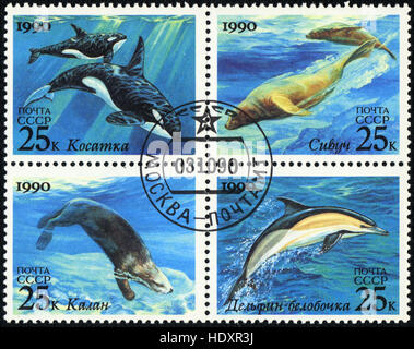 Briefmarken gedruckt in der UdSSR zeigt Orcinus Orca, Enhydra Lutris, Eumetopias Jubatus, Delphinus Delphis, Meeressäugetiere Serie, 1990 Stockfoto