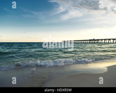 Ein Angelsteg, ein Silberreiher und türkisfarbene Wasser der Golfküste bei Sonnenuntergang. Panama City Beach, Golfküste, Florida. Stockfoto