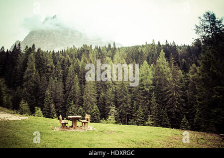 Park am Dolomiten Passo Staulanza ein Pecol (Zoldo Alto), Italien. Stockfoto