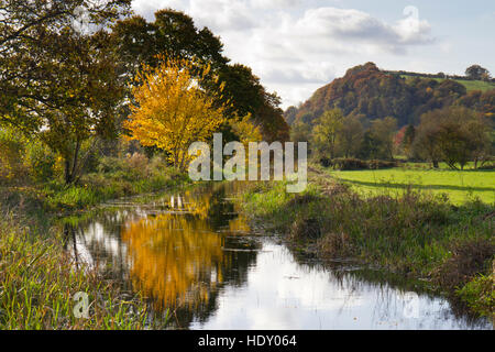 Blick auf den Montgomery-Kanal im Herbst. In der Nähe von Berriew, Powys, Wales. November. Stockfoto