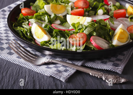 Köstlicher Salat mit Eiern, Radieschen und Sauerampfer hautnah auf dem Tisch. horizontale Stockfoto