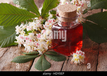 Der Extrakt aus den Blüten der Kastanie in der Flasche auf dem Tisch. horizontale Makro Stockfoto