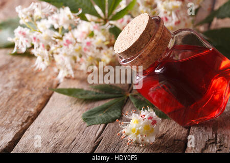 Medizin Kastanien Blume in einer Flasche auf den Tisch. Closeup horizontale Stockfoto