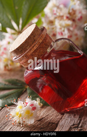Medizin Kastanien Blume in einer Flasche auf den Tisch. Makro vertikalen Stockfoto
