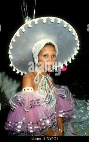 RIO DE JANEIRO Teilnehmer beim Karneval in Rio Stockfoto