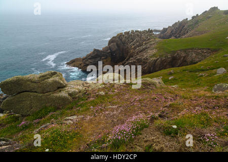 Zerklüftete Küste an Gwennap Head in Cornwall Stockfoto