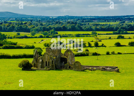 Burgruine In Landschaft von Tipperary In Irland Stockfoto