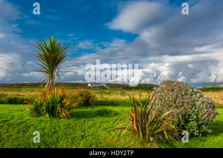 Einsame Haus in Connemara in Irland Stockfoto