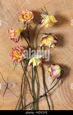 Verwelkte Rosen auf hölzernen Hintergrund Stockfoto