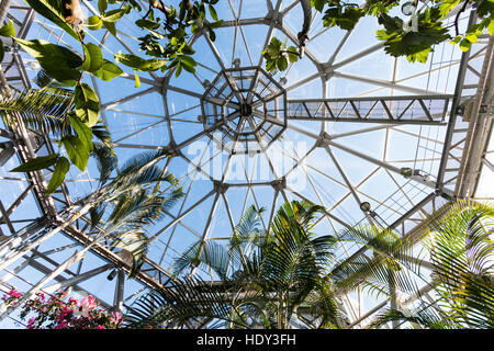 Innenraum der Nunobiki herb garden Gewächshaus, an Rokko Mountains, Kobe in Japan. Blick durch die Bäume und Sträucher zu Glas dach der Kuppel. Stockfoto