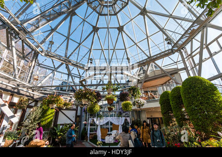 Weitwinkelaufnahme des Innern der Eingangsbereich des Nunobiki herb garden Gewächshaus, beliebte Attraktion an der Oberseite der Sessellift in Kobe, Japan. Stockfoto