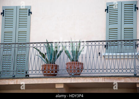 Agaven wachsen in Terrakotta-Töpfe auf einem Balkon in Peschiera del Garda, Italien Stockfoto