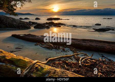 Sonnenaufgang am Strand von Aylard Farm in East Sooke Park-Metchosin, Britisch-Kolumbien, Kanada. Stockfoto