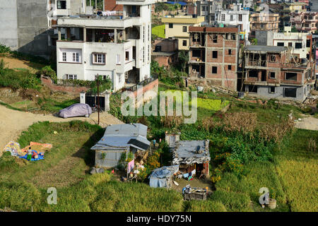 NEPAL-Kathmandu, Wachstum der Stadt, Verlust von landwirtschaftlich genutzten Feldern, eine verbleibende Zinn-Schuppen-Hütte und Reisfelder / Staedtewachstum, Verlust von Landwirtschaftlicher Gebaeude, Letzte Hütte Und Reisfelder Stockfoto