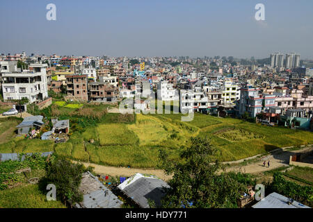 NEPAL-Kathmandu, Wachstum der Stadt, Verlust von landwirtschaftlich genutzten Feldern, eine verbleibende Zinn-Schuppen-Hütte und Reisfelder / Staedtewachstum, Verlust von Landwirtschaftlicher Gebaeude, Letzte Hütte Und Reisfelder Stockfoto