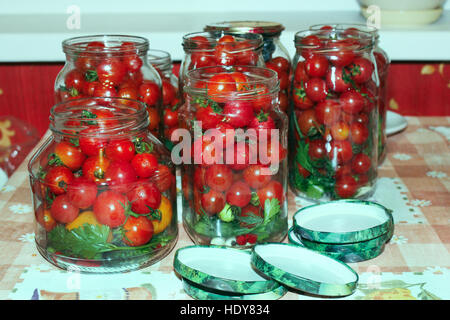 rote schmackhafte Tomaten in Gläser vorbereitet für die Erhaltung Stockfoto