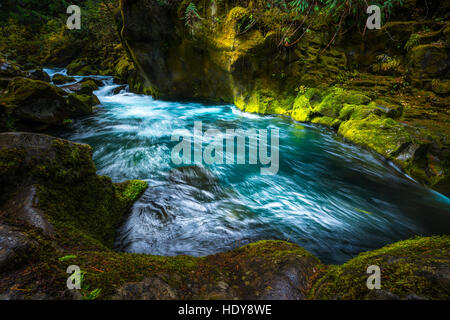 Über Toketee Falls Herbst in Oregon Douglas County Stockfoto