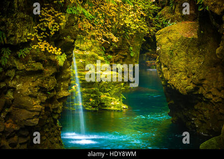 Über Toketee Falls Herbst in Oregon Douglas County Stockfoto