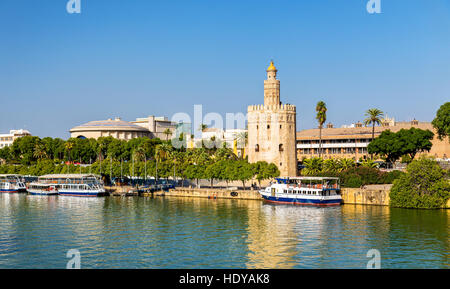 Blick auf den Torre del Oro, einem Turm in Sevilla, Spanien Stockfoto