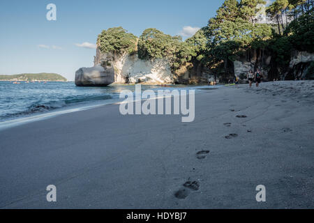 Cathedral Cove Beach, Coromandel Peninsula, Nordinsel, Neuseeland. Stockfoto