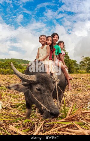 Philippinische Kinder reiten auf der Rückseite ihrer Carabao, Wasserbüffel, in Ma'ao, Insel Negros Occidental, Philippinen. Stockfoto