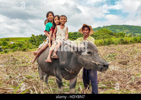 Philippinische Kinder reiten auf dem Rücken ihres Vaters Carabao, Wasserbüffel, in Ma'ao, Insel Negros Occidental, Philippinen. Stockfoto