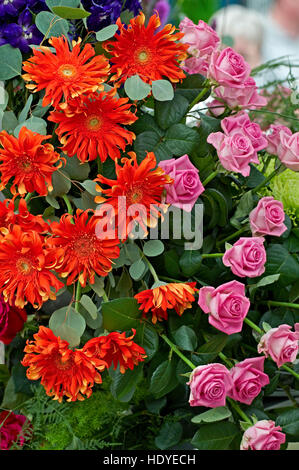 Blumengesteck mit Rosen und Gerbera in eine bunte Anzeige Stockfoto