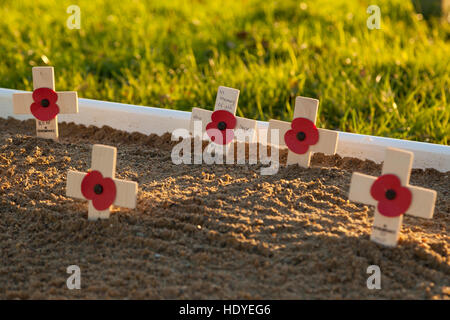 Tag der Erinnerung poppys, Ashford, Kent, Großbritannien Stockfoto