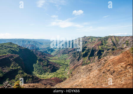 Waimea Canyon State Park, Kauai, Hawaii. Stockfoto