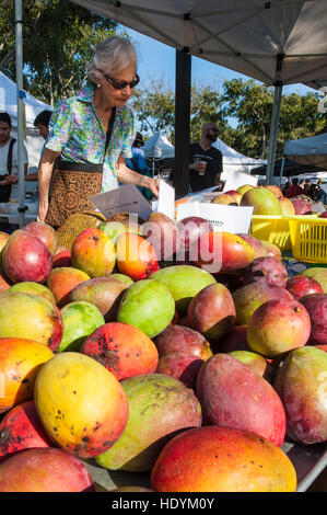 Frische Mangos auf den Samstag Bauernmarkt Honolulu, Oahu, Hawaii. Stockfoto