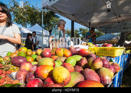 Frische Mangos auf den Samstag Bauernmarkt Honolulu, Oahu, Hawaii. Stockfoto