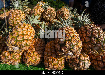 Frische Ananas am Samstag Bauernmarkt Honolulu, Oahu, Hawaii. Stockfoto