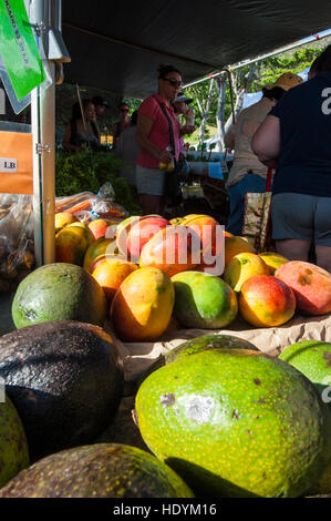 Frische Mangos und Avocado auf den Samstag Bauernmarkt Honolulu, Oahu, Hawaii. Stockfoto