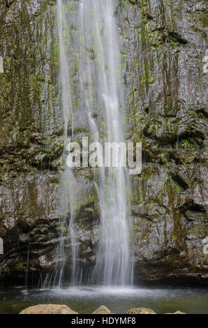 Manoa Falls, Honolulu, Oahu, Hawaii. Stockfoto