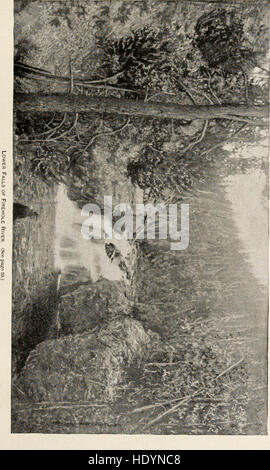 Bericht der Erkundungen in Colorado und Utah im Sommer 1889 - mit einem Konto der Fische gefunden in jedem Einzugsgebiete untersucht (1889) Stockfoto