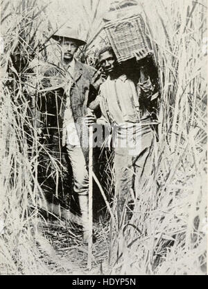 Rot, gelb und schwarz - Geschichten der Inder, Chinesen und Afrikaner (1918) Stockfoto