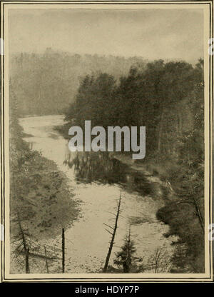 Im Kiefer Dschungel; ein Hand-Buch für Sportler und Camper in dem großen Wald Maine (1902) Stockfoto